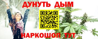 молекула духа Заводоуковск